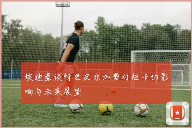 埃迪豪谈特里皮尔加盟对纽卡的影响与未来展望