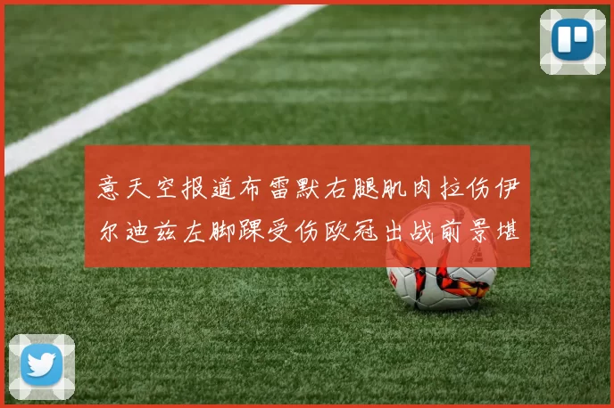 意天空报道布雷默右腿肌肉拉伤伊尔迪兹左脚踝受伤欧冠出战前景堪忧